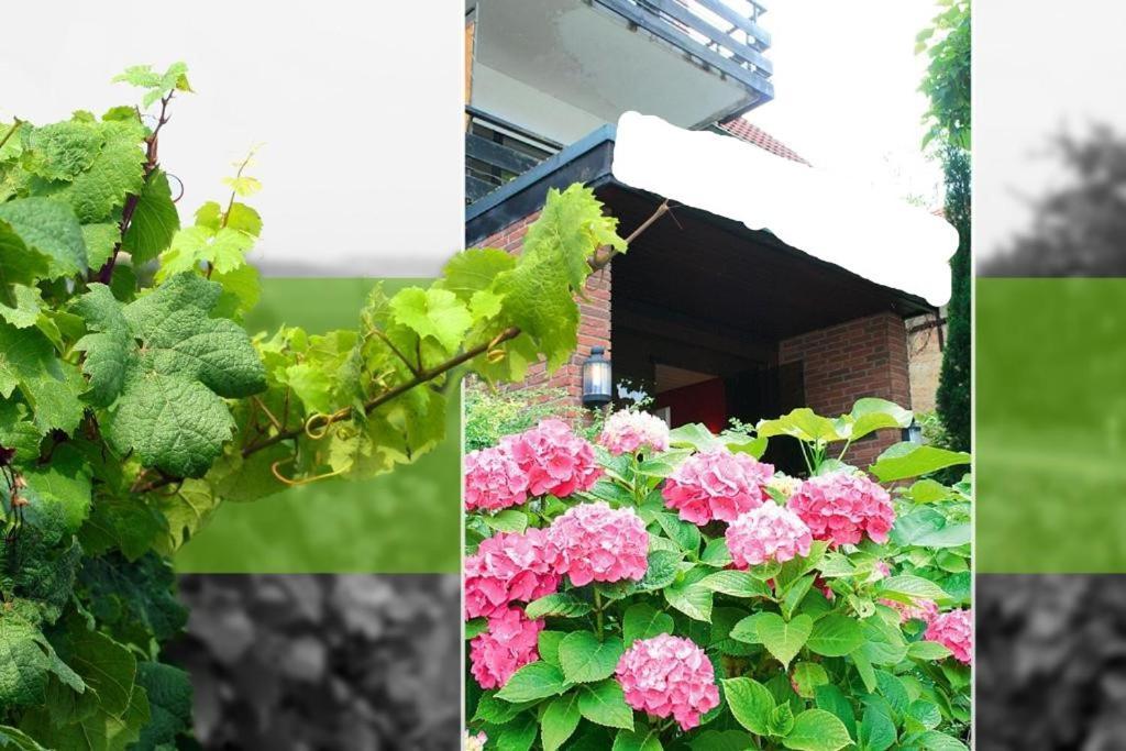 Hotel Bad Duerkheim Luaran gambar
